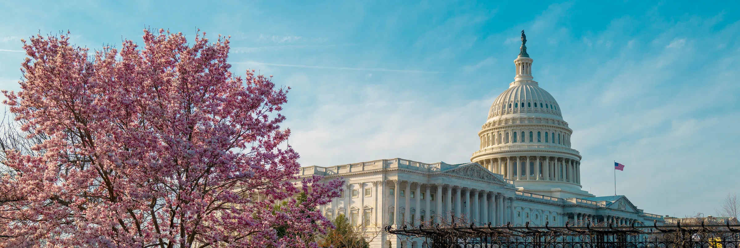 Diapositive 2 : Washington, D.C. ou le Sud profond
