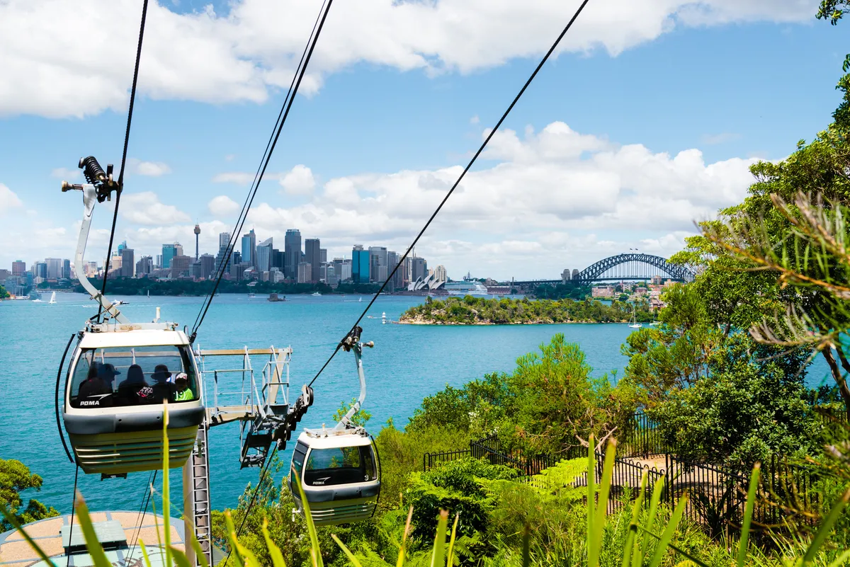 Cable cars above Sydney Harbor, with the city skyline and the Harbour Bridge beyond